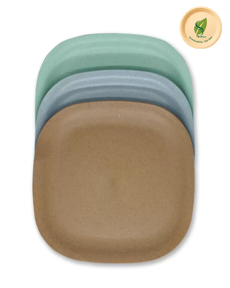 Eco Square Meal Plate Small - Image 2